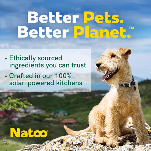 NATOO Dog Treats, Crunchy Biscuits Oats Banana and Honey, Natural Dog Treats, Rich in Omega 6, Prebiotics and Fiber, Antioxidants for Immunity, 8o...
