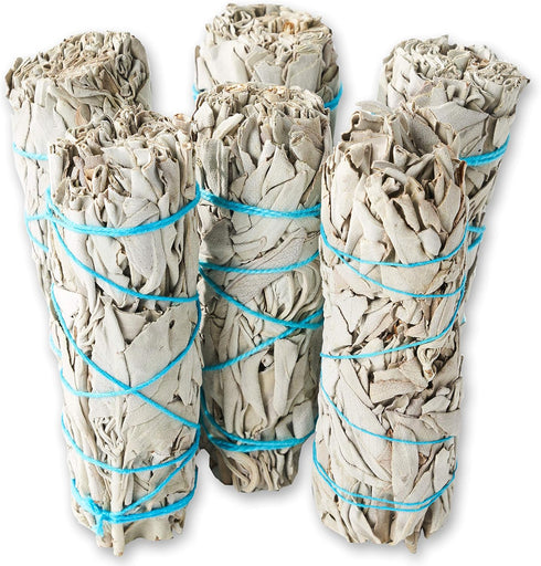 6 Pack White Sage ~ Sage Smudge Sticks for Smudging & Cleansing Energy ~ Bulk/Wholesale ~ Sustainably Grown (6 Pack)...