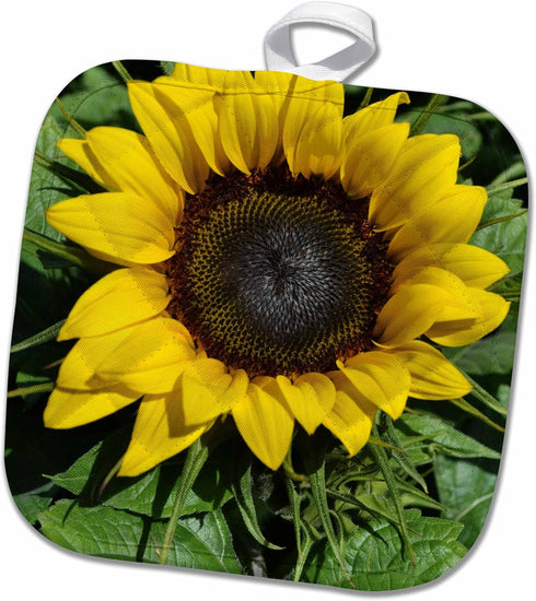 3D Rose Sunflower Pot Holder, 8" x 8"...