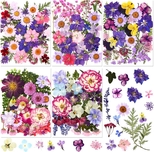 Nuanchu 167 Pcs Real Dried Pressed Flowers Natural Dried Flowers Colorful Dry Daisy Flowers Mixed Dried Flowers for DIY Candle Resin Nails Jewelry...