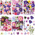 Nuanchu 167 Pcs Real Dried Pressed Flowers Natural Dried Flowers Colorful Dry Daisy Flowers Mixed Dried Flowers for DIY Candle Resin Nails Jewelry...