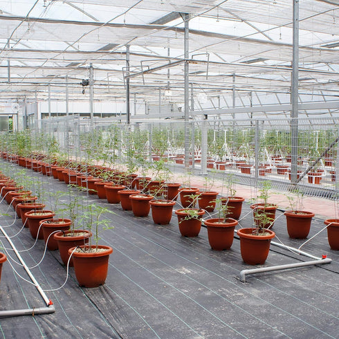 uxcell 20Pcs Aquarium Air Valve Connector, 13/64"(5mm) OD Transparent L-shaped Aquarium Airline Tubing Connector for Fish Tank Pond Air Line...