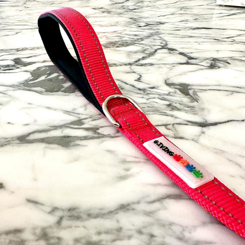 5 Ft Heavy Duty Reflective Nylon Dog Leash with Padded Traffic Handle – 20% of Profits Donated to Animal Rescue -1" Leash for Medium and Large Dog...