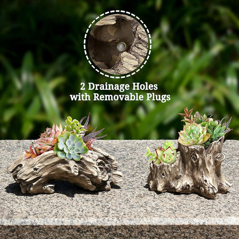 Succulent Planters Driftwood Planter Succulent Pots Small Plant Flower Cactus Pots Tree Stumb Wood Planter with Drainage Hole...