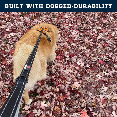 Nylon Dog Leash with Locking Carabiner for Large Medium Small Breeds – Heavy Duty Reflective Nylon Lead with Padded Handle for Everyday Walking, R...