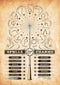 MIGHTYPRINT Harry Potter - Spells and Charms - Wand Patterns - Durable 17” x 24" Wall Art – NOT Made of Paper – Officially Licensed Collectible...