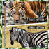36 Pieces Kindergarten Graduation Pencils for Kids Animal Jungle Print Pencils Wood Pencils with Eraser Graduation Gifts Teacher Supplies for Stud...