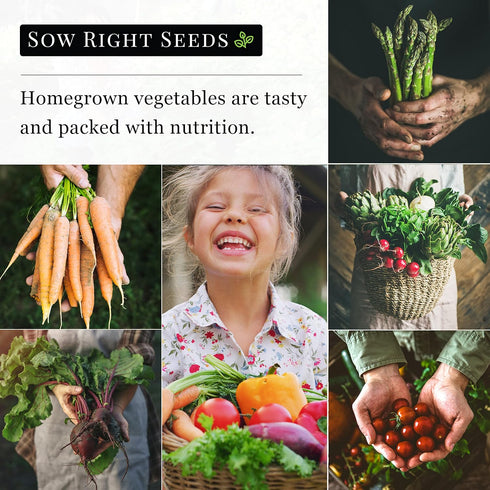 Sow Right Seeds - Arugula Seeds for Planting - Non-GMO Heirloom Seeds with Instructions to Plant a Home Vegetable Garden - Indoors, Hydroponics or...