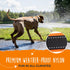 Mighty Paw Ultra Soft Dog Collar - Ultimate Comfort with Soft Neoprene Padding - All-Metal Adjustable Buckle for Large & Small Dogs - Mighty Stron...