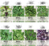 Seed Needs, Culinary Basil Herb Seed Packet Collection (8 Individual Basil Seed Varieties for Planting) Non-GMO & Untreated...