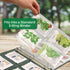 Samsill 40 Pack Heavy Weight 4 Pocket Garden Seeds Storage Clear Sheet Protectors, Seed Organizer, Each Pocket Measures 3.5" x 5.25", Fits in Stan...