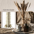 Posterizer 1 pcs-detailed anatomical illustration of the human spinal column 4-Teachers & Classrooms-Abstract & Modern Art-School and classroom ar...