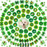 80pcs St.Patrick's Day Dog Bows, Holiday Pet Samll Dog Hair Grooming Bows with Rubber Bands, St.Patrick's Day Green Lucky Clover Element Dog Hair ...