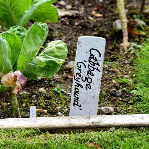 Mr. Pen- Garden Markers, Black, 4 Pack, Plant Markers, Garden Markers for Plants Outdoor Waterproof, Plant Markers for Seedlings, Waterproof Perma...