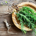 iSpice -Rosemary (Ground) 4oz (113g)...