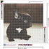 Zimal Full Round Diamond Painting French Bulldog DIY Diamond Mosaic Black Puppy Full Round Diamond Embroidery Cross Stitch Animal Dog 11.8 X 11.8 ...