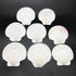 PEPPERLONELY 8 PC Large Great Scallop Sea Shells, Irish Deeps or Irish Baking Shells, 3 Inch ~ 4 Inch...