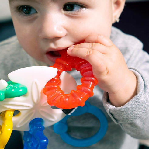 Baby Einstein Ocean Explorers Sea of Sensory Teether Toy BPA Free, Ages 3 Months and up...