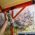 Hot Shot Wasp & Hornet Killer Spray, For Insects Eliminates the Nest, Sprays Up To 27 Feet, 14 fl Ounce, 2 Pack...