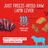 Stella & Chewy's Freeze-Dried Raw Single Ingredient Lamb Liver Treats, 3 oz. Bag...