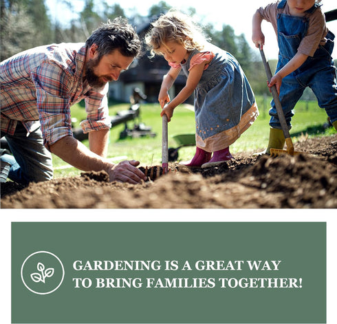 Sow Right Seeds - Arugula Seeds for Planting - Non-GMO Heirloom Seeds with Instructions to Plant a Home Vegetable Garden - Indoors, Hydroponics or...