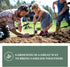Sow Right Seeds - Arugula Seeds for Planting - Non-GMO Heirloom Seeds with Instructions to Plant a Home Vegetable Garden - Indoors, Hydroponics or...