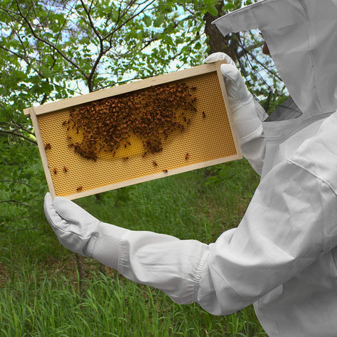 Honey Keeper Beekeeping Gloves, Small - Goatskin Leather with Ventilated Canvas Sleeve and Elastic Cuff...
