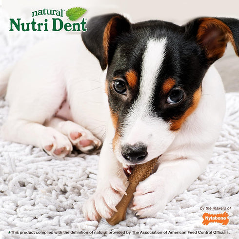 Nylabone Nutri Dent Dog Dental Chews - Natural Dog Teeth Cleaning & Breath Freshener - Dental Treats for Dogs - Filet Mignon Flavor, Small (28 Cou...