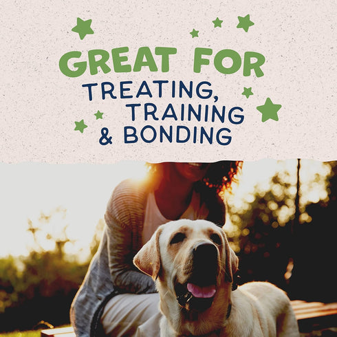 Natural Balance Limited Ingredient Rewards Crunchy Biscuits, Vegetarian Dog Treats for Adult Dogs of All Breeds, Peanut Butter Recipe, 14 Ounce (P...