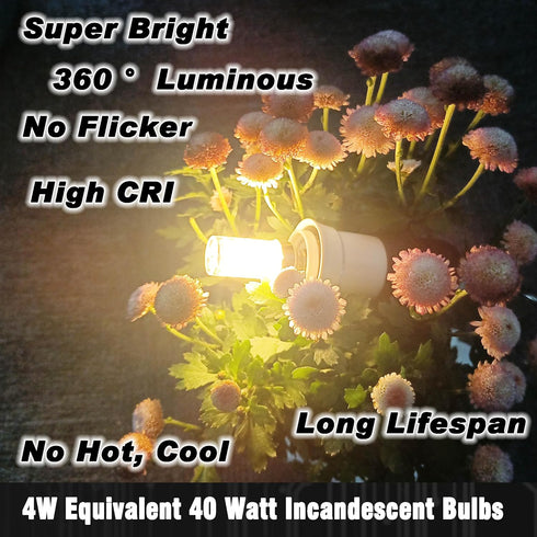 12V E12 LED Candelabra Bulb 40Watt Equivalent Warm White 2700K 4W 450Lm Low Voltage AC12-24V/DC10-30V for RV Camper Marine Boat Cabin Patio Landsc...