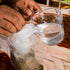 Black Flag Disposable Fly Trap, Attracts All Major Fly Species...