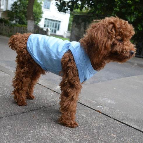 2018 Pet Clothes Dog Clothing Blank T-shirt Tanks Top Vests for Small Middle Large Size Dogs 100% Cotton Dog Summer Vest Classic (XS, Light-blue)...