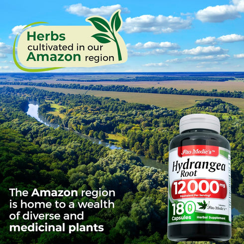 FITO MEDIC'S Lab | hydrangea root | hydrangea root capsules |180 capsules | 12000 mg | hydrangea | hydrenga pills | hydrangea supplement | Ultra h...