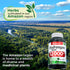 FITO MEDIC'S Lab | hydrangea root | hydrangea root capsules |180 capsules | 12000 mg | hydrangea | hydrenga pills | hydrangea supplement | Ultra h...