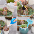 Succulent Tools,19 Pcs Mini Garden Tools Set,Transplanting Tools Miniature Succulent Hand Tools Set with Plant Potting Tarp Mat, Succulent Kit for...