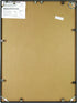 NuDell 31222 Metal Poster Frame, Plastic Face, 18 x 24, Black...