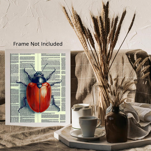 Posterizer 1 pcs-detailed bug on vintage dictionary page 1-Art for Animal Lovers-Vintage Art-Gift for Art Lovers- unframed wall art...