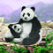 Crystal Art Diamond Painting Card Kit - Panda- Create Your Own 7"x7" Card Kit - for Ages 8 and up......