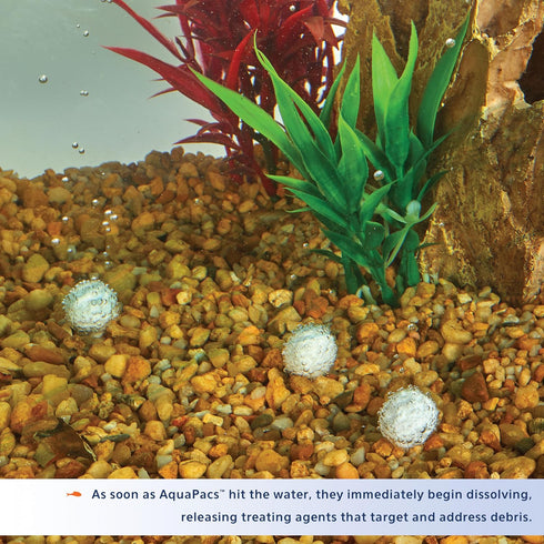 Aqueon AquaPacs Water Clarifier 4 Pack, 10 Gallon...
