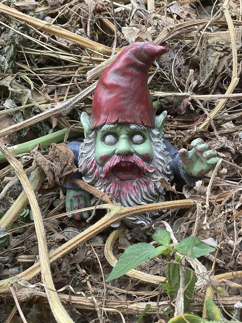 G150028 Zombie Gnome Garden Statue Sculpture, Scary Gnome, Halloween Decoration...