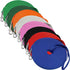 Downtown Pet Supply - Long Dog Leash - Dog Training Leash - Recall & Obedience Dog Training Tools - Nylon - 75 ft - Blue Dog Leash...