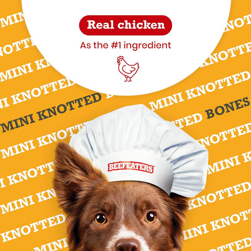Beefeaters Dog Treats - Mini Knotted Bone Chicken Flavor 12ct | Rawhide Free Dog Foods | Real Chicken No Artificial Flavors | Digestion-Friendly, ...