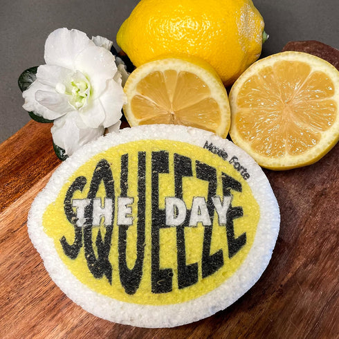3Pack Lemon Dish Sponges | Squeeze The Day Fun Fruit Design | Cute Cellulose Compressed Kitchen Sponges |Natural & Biodegradable | Odor Resistant ...