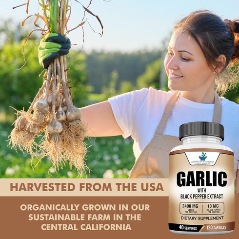 American Standard Supplements Garlic 2400mg Per Serving with Black Pepper Fruit Extract – Vegan, Gluten Free, Non-GMO, 120 Capsules, 40 Servings...
