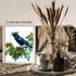 Posterizer 1 pcs-detailed natural history illustration of a raven-Corvus corax 4-Art for Animal Lovers-Gift for Men Women Teens-Chic Home Decor- u...