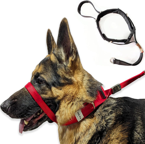 PetsProMax - Dog Headcollar for Pulling and Reactive Dogs; Behind Head Dog Leash Hook Lets You Walk Peacefully; Instantly Stops Your Dog Pulling. ...