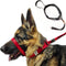 PetsProMax - Dog Headcollar for Pulling and Reactive Dogs; Behind Head Dog Leash Hook Lets You Walk Peacefully; Instantly Stops Your Dog Pulling. ...