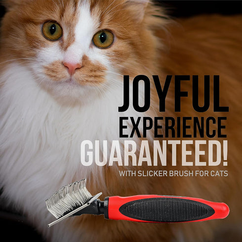 Slicker Brush for Small Dogs and Poodles - Coated Tips Massages Pet Skin - Cat Slicker Brush for Long Haired Cats - Wire Doodle Brush with Extra L...