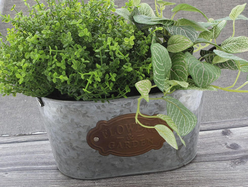 Flowers & Garden' Galvanized Metal Bucket Planter (8.5" x 4.5") - Unique Plant Pot for Indoor Outdoor Country Farmhouse Home Garden Decor...