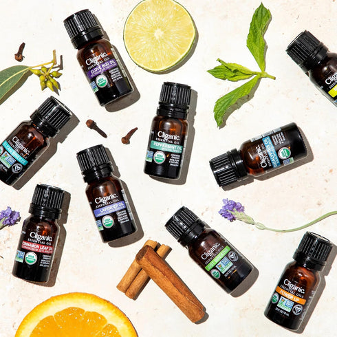Cliganic Organic Geranium Essential Oil, 100% Pure Natural for Aromatherapy | Non-GMO Verified (Packaging May Vary)...